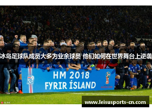 冰岛足球队成员大多为业余球员 他们如何在世界舞台上逆袭