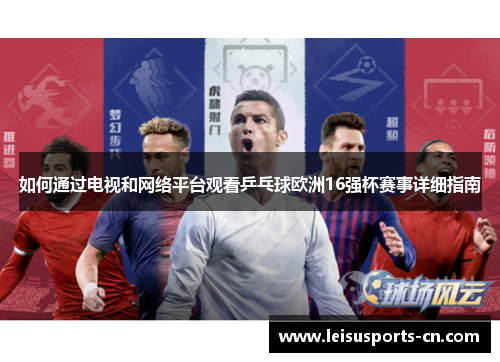 如何通过电视和网络平台观看乒乓球欧洲16强杯赛事详细指南
